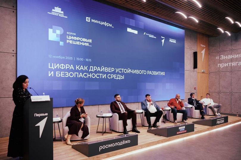 Рынком не вышли. Зачем государству нужно вмешиваться в развитие ИТ-отрасли