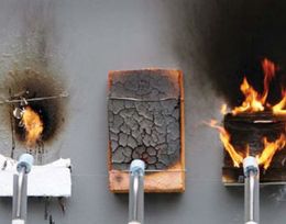 Круглый стол «Токсичность продуктов горения строительных материалов, применяемых на объектах капитального строительства»