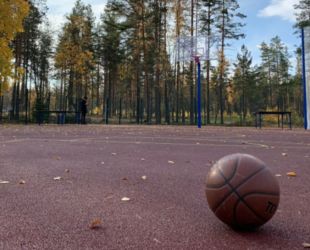 В Гавриловской школе Выборгского района ЛО открыли универсальную спортивную площадку