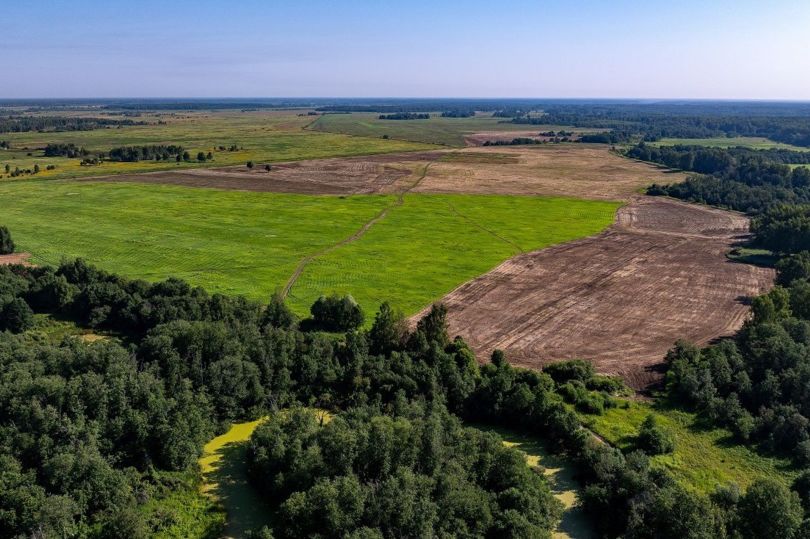 Ingrad выставил на продажу 13 тыс. гектаров земель в Московской области