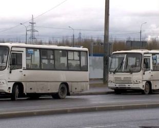 Комитет по транспорту подвел итоги противодействия работе нелегальных перевозчиков в Санкт-Петербурге