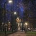 За три года современное освещение получили более 30 петербургских садов, парков и скверов