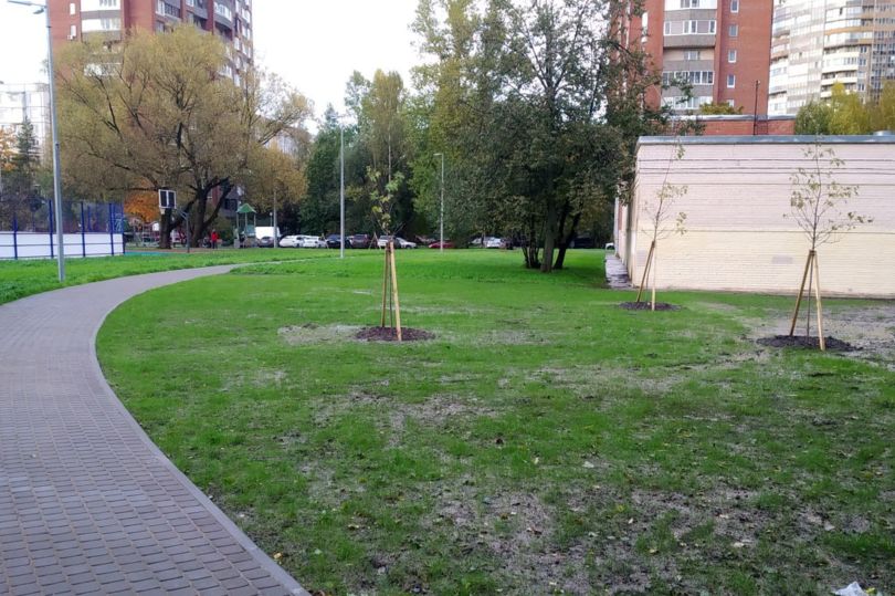 благоустройство