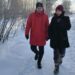 В сыктывкарской Орбите в 2024 году появятся две благоустроенные территории для прогулок