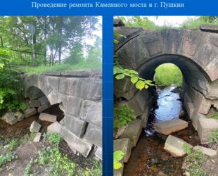 В Отдельном парке в Пушкине отремонтируют мост