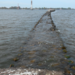 В Калининградской области реконструируют берегоукрепление дамбы 