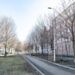 Улица Циолковского в исторической части Петербурга предстанет в новом свете