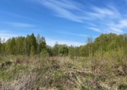 земельный участок