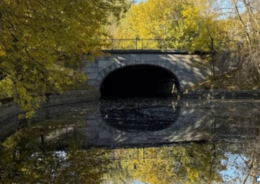 Новый асфальт и свежая разметка появились на Молвинском мосту в Петербурге