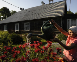 Ленинградская область продает земли под огороды по выгодной цене