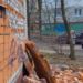 Облицовка дома на проспекте Солидарности обрушилась из-за ремонта