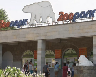 В Петербурге построят новый зоопарк