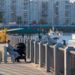 В Петербурге согласовали продолжение набережной Макарова и мост через Смоленку