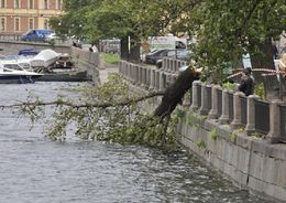 МЧС предупреждает петербуржцев об усилении ветра