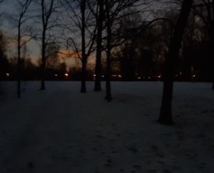Стало известно, когда в парке «Новознаменка» появится освещение
