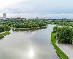 В Москве началась реконструкция Алтуфьевского пруда