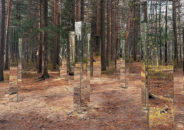 В сургутском парке «За Саймой» появился «Зеркальный лес»