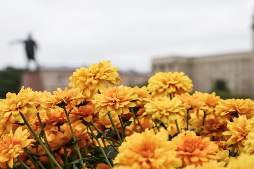 Санкт-Петербург впервые получил осеннее цветочное оформление