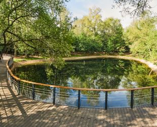 В парке «Кусково» завершена экологическая реабилитация Локасинского пруда