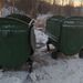 Росприроднадзор разрешил проект по переработке отходов «Дубровка» в Ленобласти