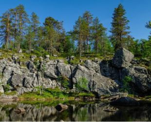 Правительство утвердило постановление о создании национального парка в Карелии 