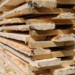Ленобласть увеличивает объемы переработки древесины