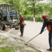 В Петербурге будут в течение месяца массово проверять качество уборки дорог и зон зеленых насаждений