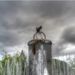 На реконструкцию фонтана в Светогорске ищут подрядчика