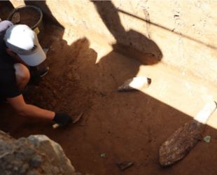 Бивни мамонта найдены во время строительных работ на территории Кремля в Зарайске