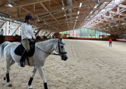 Конноспортивный клуб появится в районе Внуково в рамках МаИП