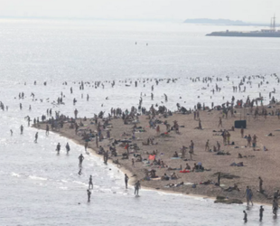 В этом году в Петербурге благоустроят четыре пляжа 