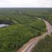 В Архангельской области ремонтируют дороги в рамках нацпроекта