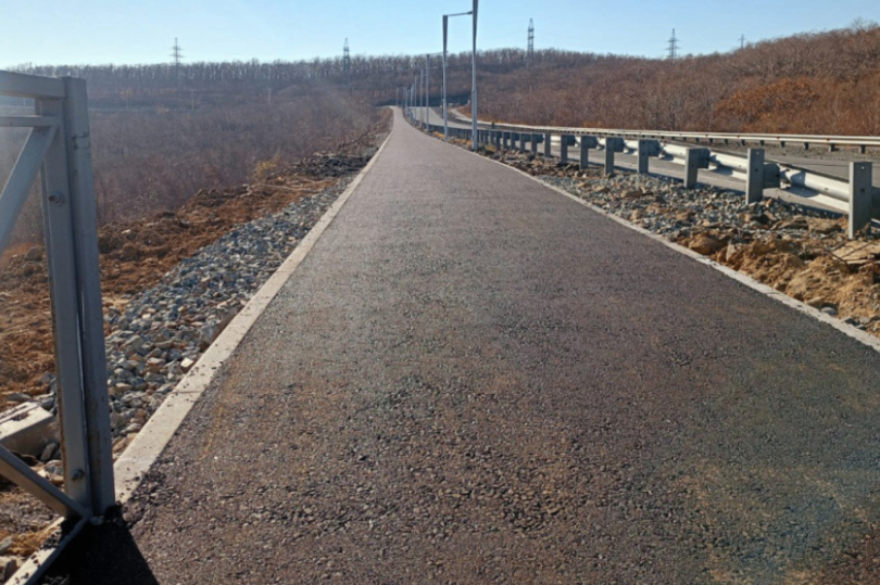 На острове Русском появится велотропа протяженностью более 5 км