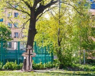 Сад вместо пустыря появится в Петроградском районе