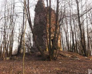 Инвестор замка Рагнит сообщил о планах на восстановление башни Бисмарка в Калининграде