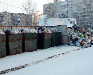  Петербург и Ленобласть тормозят «мусорную реформу»