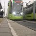 Трамвай «Чижик» устремляется в Ленобласть