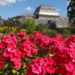 Ботанический сад в Петербурге ждет реставрация