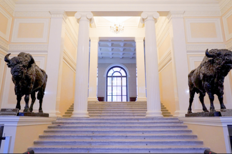 Завершена реставрация парадного вестибюля со скульптурами зубров в доме Пашкова в Петербурге