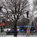 Полувековым липам на Московской площади к весне сделают модельную стрижку