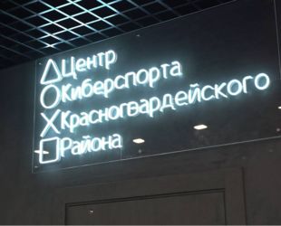 В Красногвардейском районе Петербурга появится Центр киберспорта
