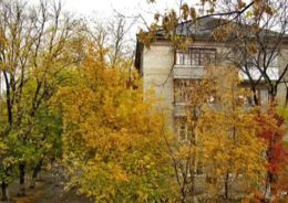 В Барнауле отдают под КРТ территорию «Поток»