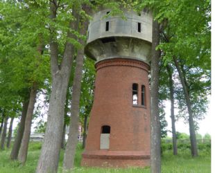 Старинную водонапорную башню в Железнодорожном купил директор музея кошек «Мурариум» 