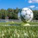 В Хорошево-Мневниках планируют построить Национальный футбольный центр
