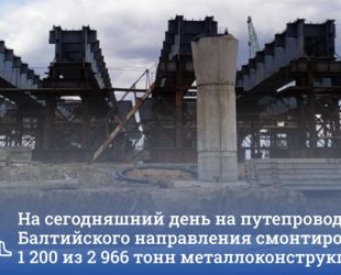 В Пушкинском районе продолжается строительство ЮШМ