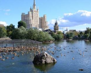 Два фонтана установят перед входом в Московский зоопарк