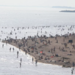 В этом году в Петербурге благоустроят четыре пляжа 