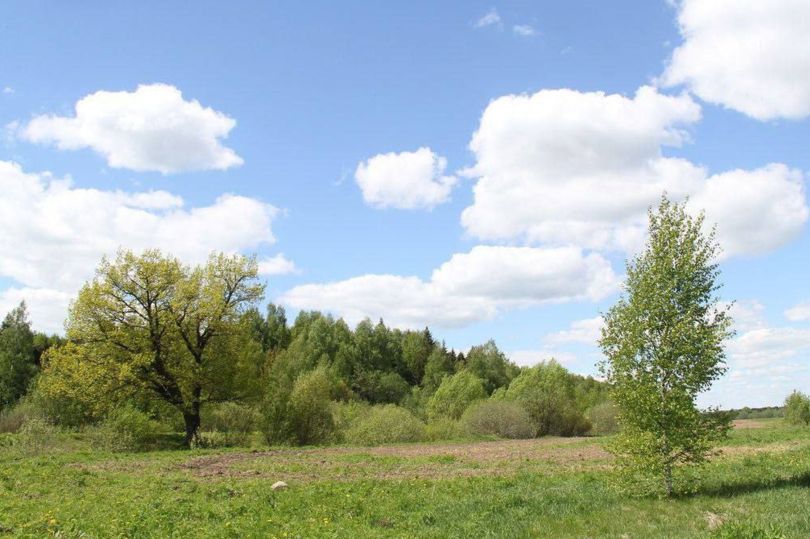 земельный участок