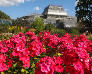 Ботанический сад в Петербурге ждет реставрация
