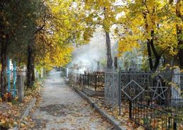Изыскания под строительство кладбища в Курортном районе оценены в 15 млн рублей